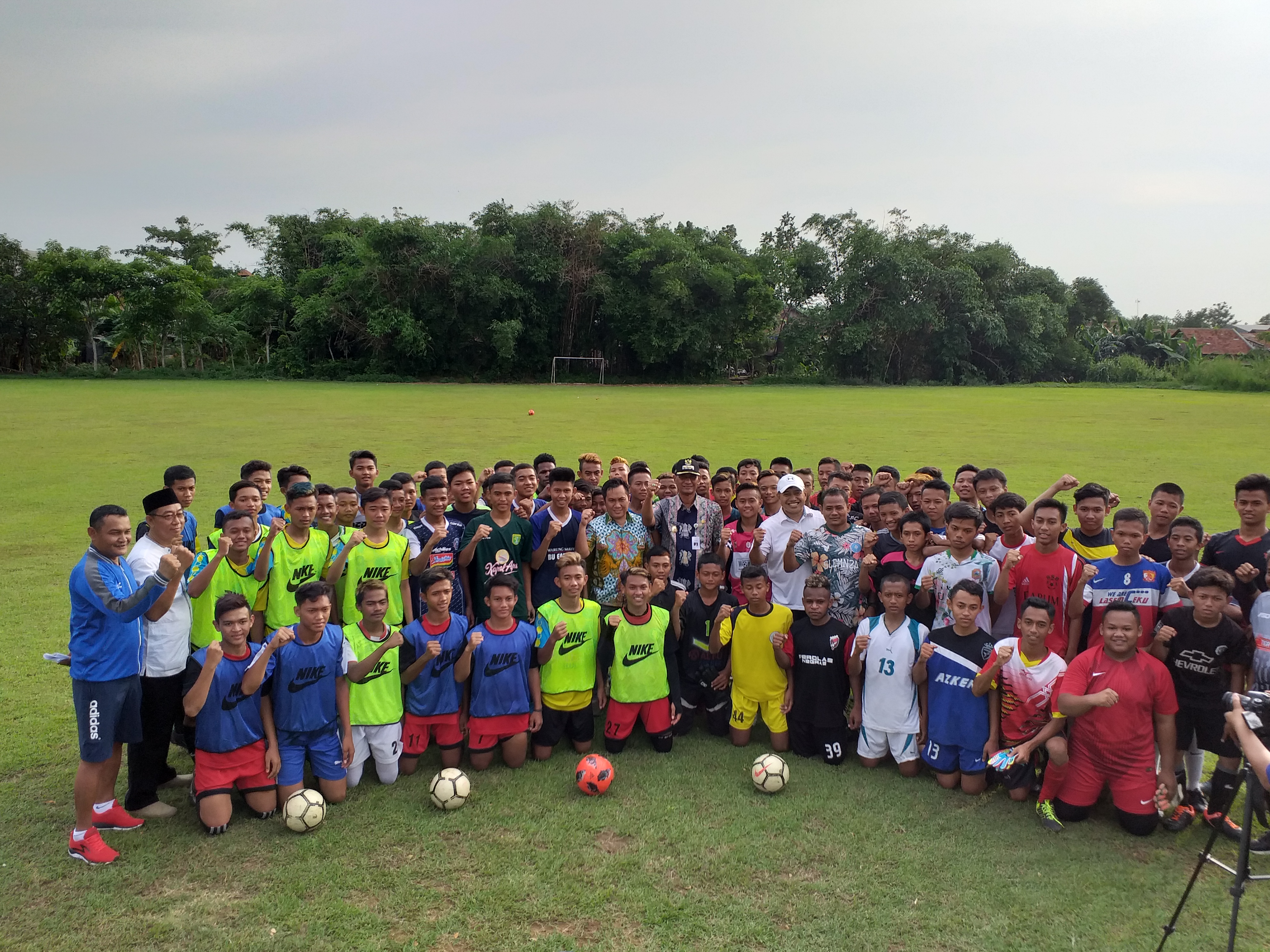 Persiku junior