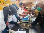 Dukung Program Zero Rabies, 220 Hewan di Kudus Terima Vaksinasi