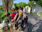 KKN UIN Sunan Kudus Bersama Pemdes Burikan Gelar Kerja Bakti Bersihkan Sampah KKN UIN Sunan Kudus Bersama Pemdes Burikan Gelar Kerja Bakti Bersihkan Sampah