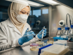 STEM CELL STEM CELL