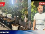 Sam’ani Intakoris, Dari Ucapan Jadi Tanaman, Dari Perayaan Jadi Pelestarian