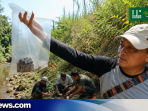 BRIN Teliti Fosil Raksasa Temuan Warga di Kali Piji, Perkuat Jejak Dunia Purba Patiayam